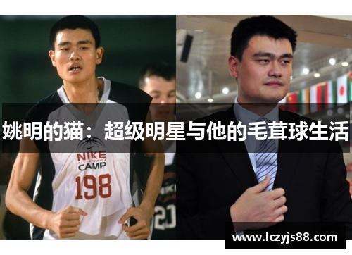 姚明的猫：超级明星与他的毛茸球生活