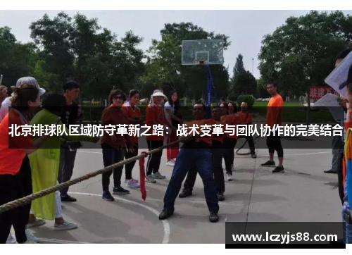 北京排球队区域防守革新之路：战术变革与团队协作的完美结合