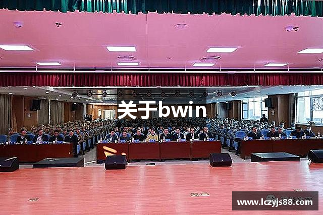 关于bwin